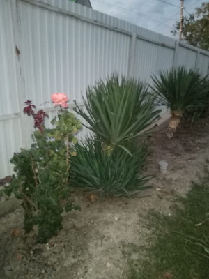 Продам дом, Розовая (Здоровье тер. СНТ) ул, 16, Куток х, 0 км от города