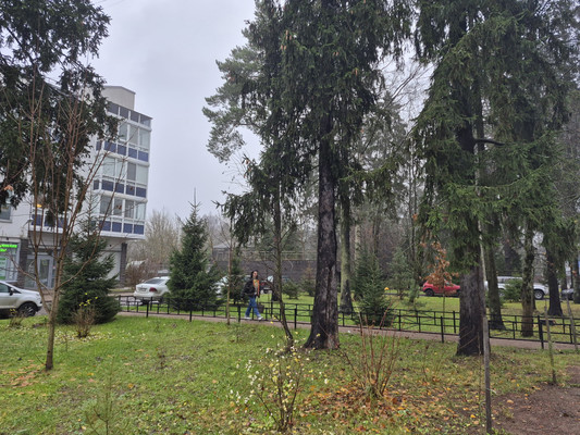 Продам однокомнатную (1-комн.) квартиру, Гражданская ул, 1А, Зеленогорск г