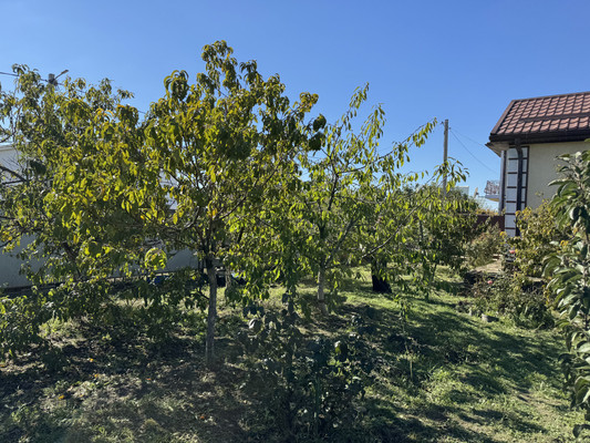 Продам участок 8 соток, Фермерское хоз., Сиреневая (Южное тер. ДНТ) ул, 45, Красный х, 0 км от города