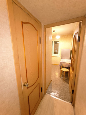 Продам однокомнатную (1-комн.) квартиру, Революционный пр-кт, 19/21, Подольск г