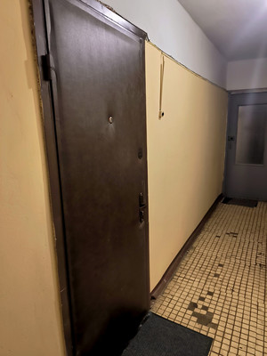 Продам однокомнатную (1-комн.) квартиру, Революционный пр-кт, 19/21, Подольск г