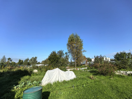 Продам дачу, объединение Кедр тер, Яхрома г, 0 км от города