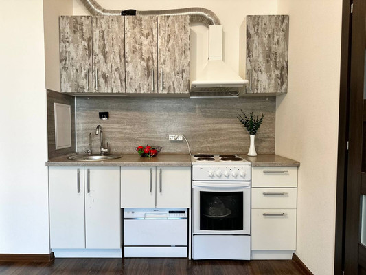 Продам однокомнатную (1-комн.) квартиру, Верхне-Каменская ул, 3к1, Санкт-Петербург г