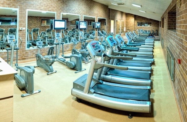 Сдам коммерческое помещение 320 м2, Устье С и Ко снт, Дубна г