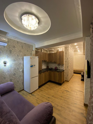 Продам однокомнатную (1-комн.) квартиру, Батумское шоссе (Лазаревский р-н) ул, 69/5, Сочи г