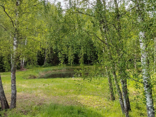 Продам дачу, Чеблоково д, 0 км от города