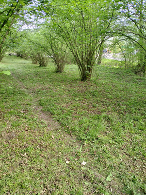 Продам участок 1 324 соток, ИЖС, Агуй-Шапсуг аул, 0 км от города