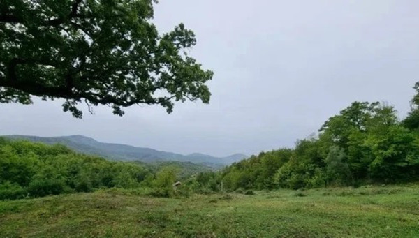 Продам участок 1 324 соток, ИЖС, Агуй-Шапсуг аул, 0 км от города