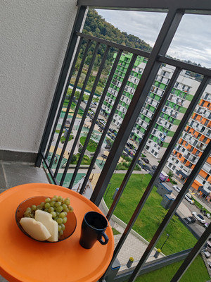 Сдам однокомнатную (1-комн.) квартиру, Искры (Адлерский р-н) ул, 88к2, Сочи г