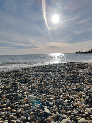 Сдам однокомнатную (1-комн.) квартиру, Искры (Адлерский р-н) ул, 88к2, Сочи г