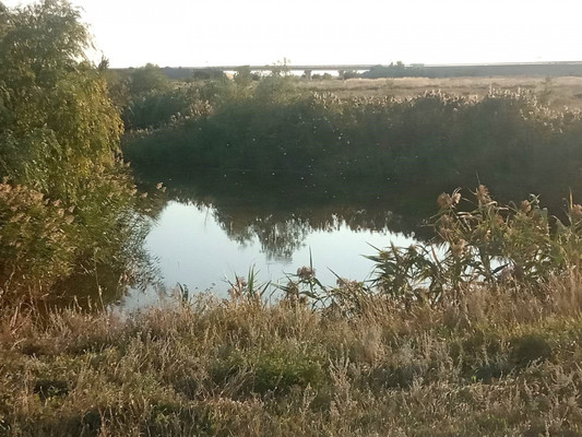 Продам участок 8 соток, ИЖС, Песчаный пер, 9Б, Красноярская ст-ца, 0 км от города