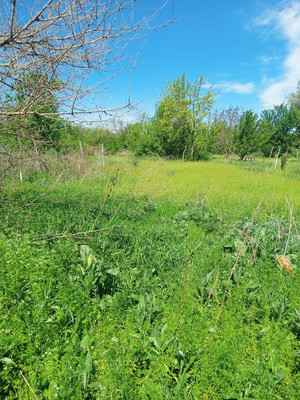 Продам участок 25,25 соток, ИЖС, Центральная ул, Лозновская ст-ца, 0 км от города