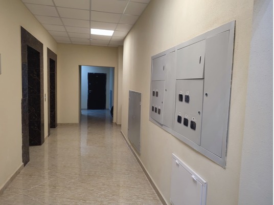 Продам однокомнатную (1-комн.) квартиру, Измайловская ул, 20к2, Краевско-Армянское с