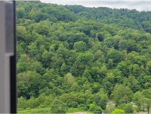 Продам однокомнатную (1-комн.) квартиру, Измайловская ул, 20к2, Краевско-Армянское с