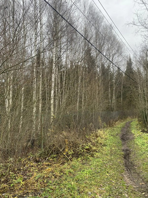 Продам дачу, 76 км, Дмитров г, 0 км от города