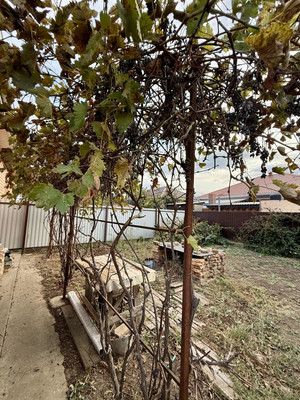 Продам дом, Мачтовая ул, 3блок2, Волгодонск г, 0 км от города