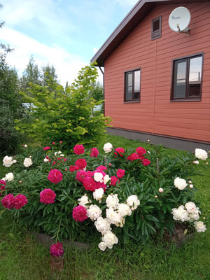 Продам дом, Октябрьская ул, 12, Песчаное д, 0 км от города