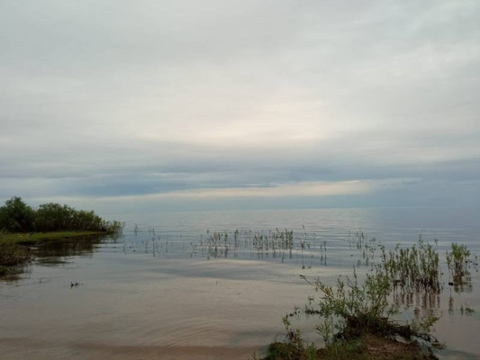 Продам дом, Октябрьская ул, 12, Песчаное д, 0 км от города