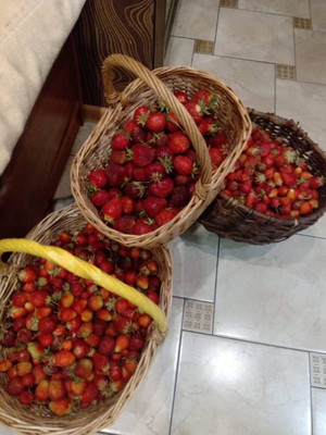 Продам дом, Октябрьская ул, 12, Песчаное д, 0 км от города