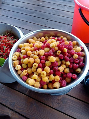 Продам дом, Октябрьская ул, 12, Песчаное д, 0 км от города