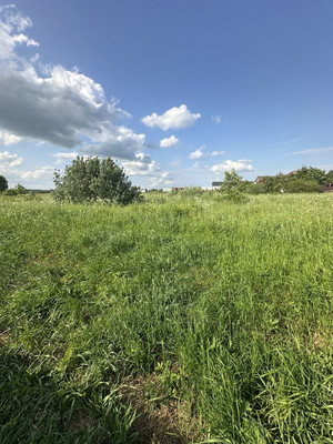 Продам участок 8 соток, ИЖС, объединение Кедр тер, Яхрома г, 0 км от города