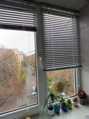 Продам однокомнатную (1-комн.) квартиру, Зоологическая ул, 1, Калининград г