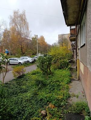 Продам однокомнатную (1-комн.) квартиру, Зоологическая ул, 1, Калининград г