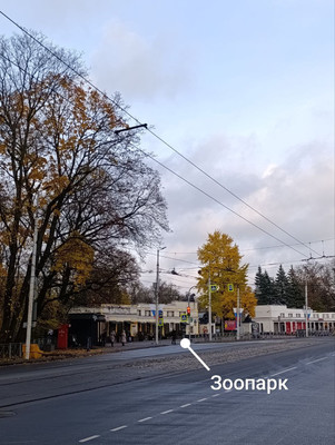 Продам однокомнатную (1-комн.) квартиру, Зоологическая ул, 1, Калининград г