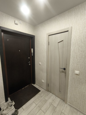 Сдам однокомнатную (1-комн.) квартиру, Голландская ул, 8, Янино-1 гп