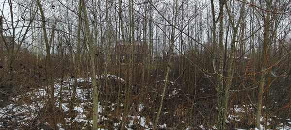 Продам участок 14,9 соток, ИЖС, Луговая ул, Ермолино д, 0 км от города