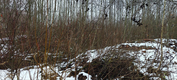 Продам участок 14,9 соток, ИЖС, Луговая ул, Ермолино д, 0 км от города