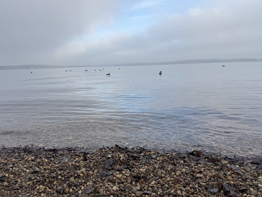 Продам многокомнатную квартиру, Военный городок ул, 19, Солнечногорск г