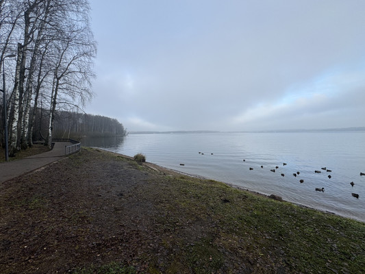 Продам многокомнатную квартиру, Военный городок ул, 19, Солнечногорск г