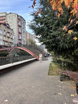 Сдам однокомнатную (1-комн.) квартиру, Волжская (Центральный р-н) ул, 34, Сочи г