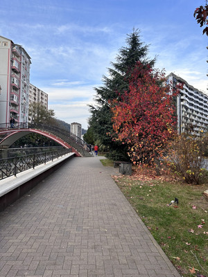 Сдам однокомнатную (1-комн.) квартиру, Волжская (Центральный р-н) ул, 34, Сочи г