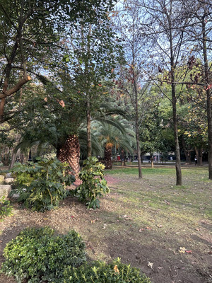 Сдам однокомнатную (1-комн.) квартиру, Политехническая (Центральный р-н) ул, 34, Сочи г