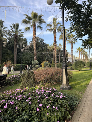 Сдам однокомнатную (1-комн.) квартиру, Политехническая (Центральный р-н) ул, 34, Сочи г