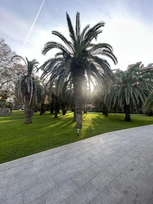 Сдам однокомнатную (1-комн.) квартиру, Политехническая (Центральный р-н) ул, 34, Сочи г