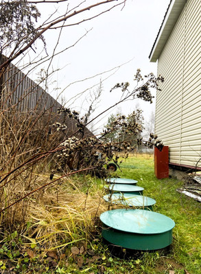 Продам дом, 41, Виноградная лоза тер, 0 км от города