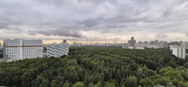 Продам двухкомнатную (2-комн.) квартиру, Миклухо-Маклая ул, вл23, Москва г