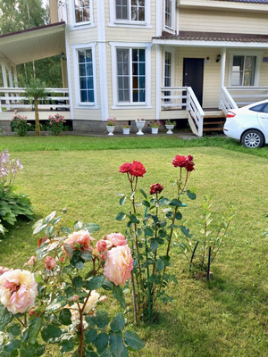 Продам дом, Веслево д, 0 км от города