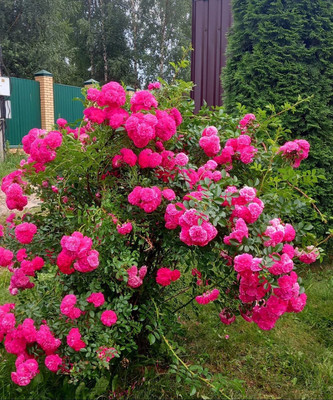 Продам дом, Веслево д, 0 км от города