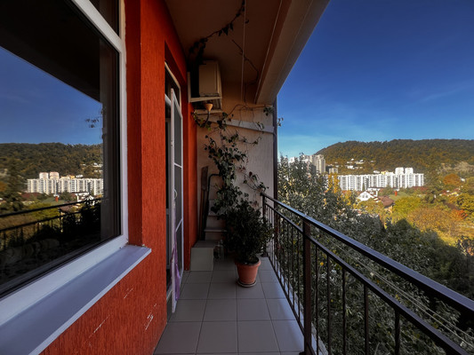 Продам однокомнатную (1-комн.) квартиру, Анапская (Центральный р-н) ул, 3/11, Сочи г