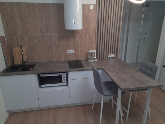 Сдам однокомнатную (1-комн.) квартиру, Большой Сампсониевский пр-кт, 69, Санкт-Петербург г