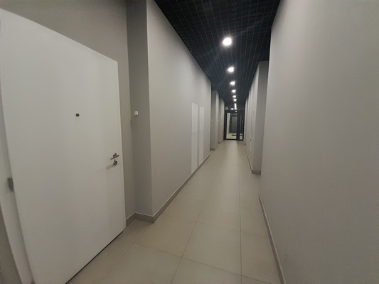 Сдам однокомнатную (1-комн.) квартиру, Большой Сампсониевский пр-кт, 69, Санкт-Петербург г