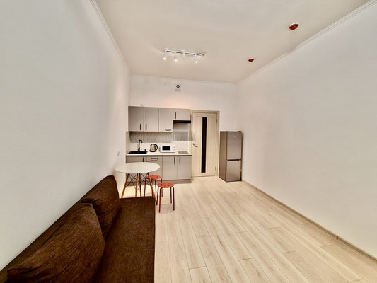 Сдам однокомнатную (1-комн.) квартиру, Романовская ул, 9, Мурино п