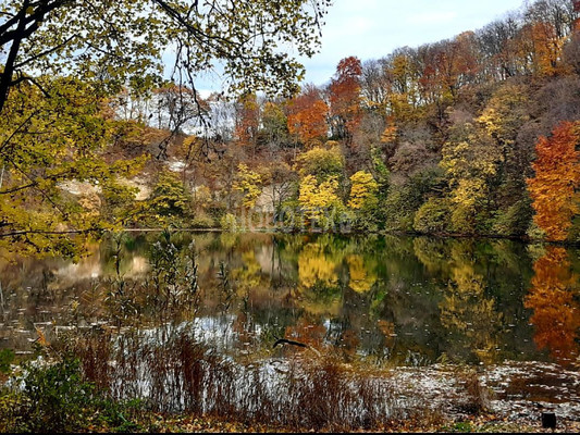 Продам дом, Клубная ул, 6, Горное с, 0 км от города