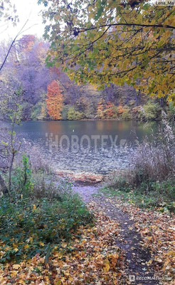 Продам дом, Клубная ул, 6, Горное с, 0 км от города