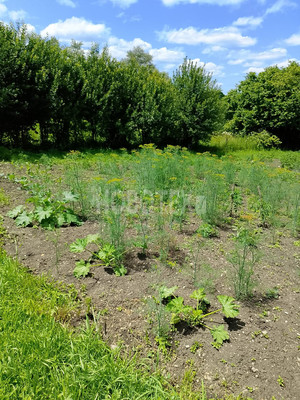 Продам дом, Клубная ул, 6, Горное с, 0 км от города