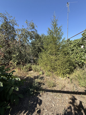 Продам дом, Юбилейный пер, Лагутники х, 0 км от города